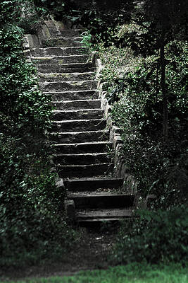 Wall Art - Photograph - Stairs of Stone by Tracy Smith