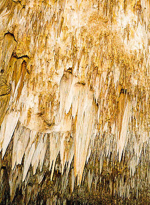 Wall Art - Photograph - Stalactite Formations In Carlsbad by Millard H. Sharp