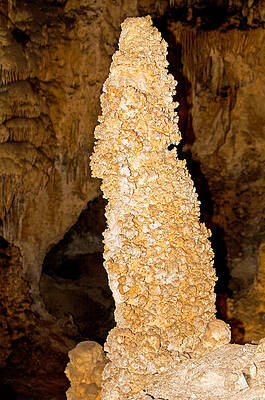 Wall Art - Photograph - Stalagmite Formation In Carlsbad Caverns by Millard H. Sharp