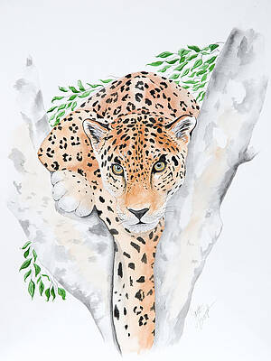 Stalker in the Trees by Joette Snyder Stalker in the Trees by Joette Snyder