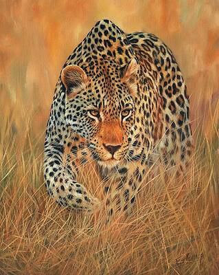 Wall Art - Painting - Stalking Leopard by David Stribbling