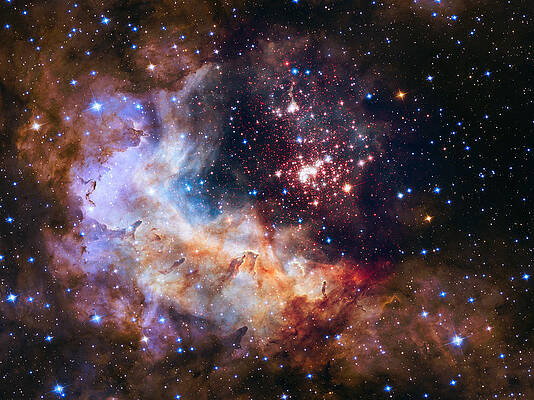 Wall Art - Photograph - Star Cluster Westerlund 2 by Science Source