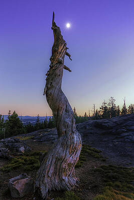 Starry Moon by Don Hoekwater Photography Starry Moon by Don Hoekwater Photography