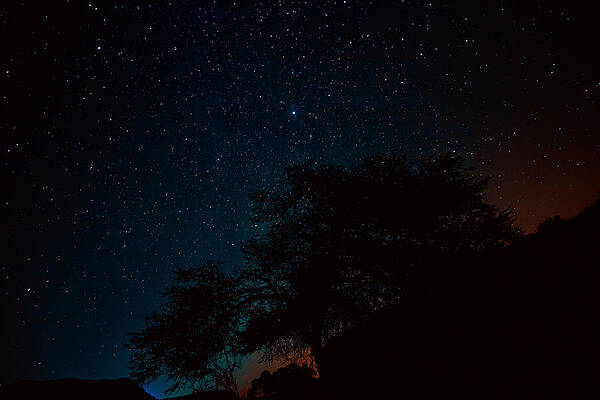 Starry Night in the Judaean Desert by Daniel Fainberg