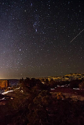 Tree Photograph - Starry Night by Jeff Stoddart