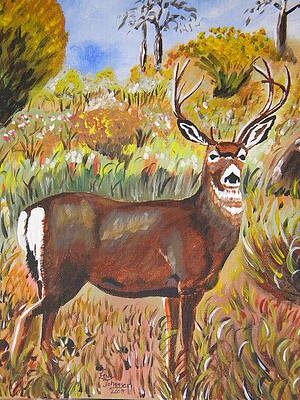 Startled Buck by Eric Johansen Startled Buck by Eric Johansen