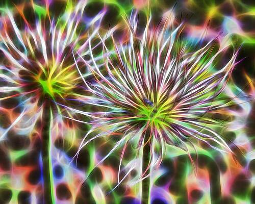 Static in nature by John G Schickler Static in nature by John G Schickler