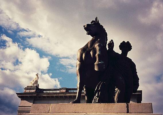 Statuary by David Swift