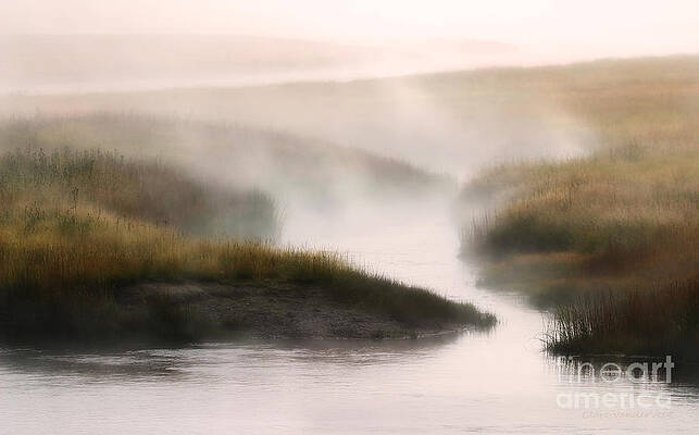 Steam Rising by Clare VanderVeen Steam Rising by Clare VanderVeen