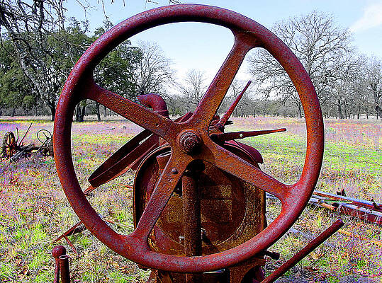 Wall Art - Photograph - Steering Wheel by Vikki King