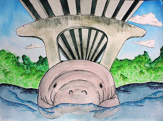 Steve the Manatee by Cory Pawley
