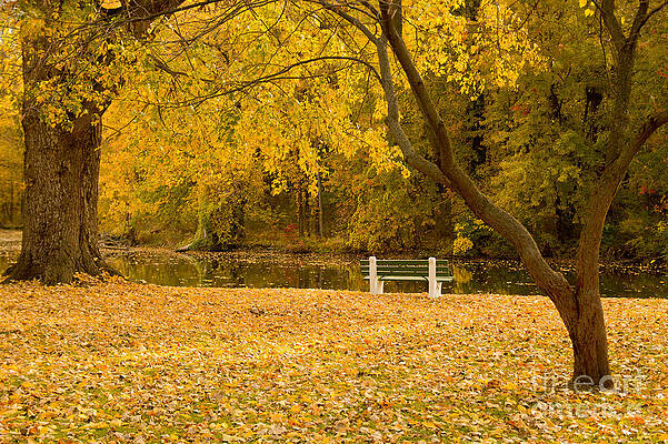 Stewart Park Ithaca by Brad Marzolf Photography Stewart Park Ithaca by Brad Marzolf Photography