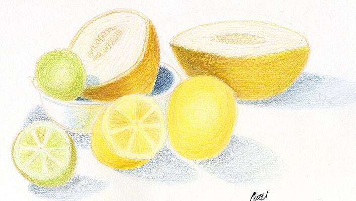 Wall Art - Drawing - Still Life - Citrus Fruit with Melons by Bav Patel