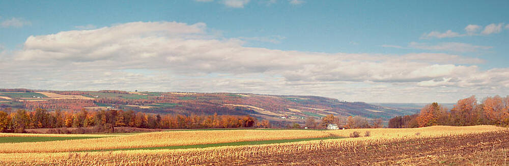 Stockbridge Valley by Peter Rashford Stockbridge Valley by Peter Rashford