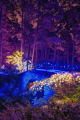 Wall Art - Photograph - Stone Bridge - full height by Daniel George