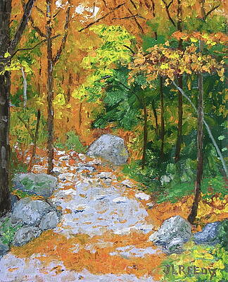 Stoney Path by J Loren Reedy Stoney Path by J Loren Reedy