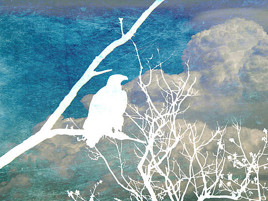 Nature Digital Art - Storm Clouds Brewing by Georgia Clare