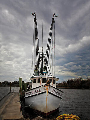 Stormy Seas on a Stormy Day by Sandra Anderson Stormy Seas on a Stormy Day by Sandra Anderson