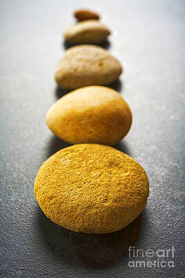 Wall Art - Photograph - Straight Line of Brown Pebbles on Dark Background by Colin and Linda McKie