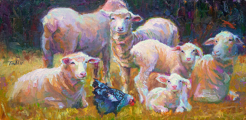 Stranger at the Well - spring lambs sheep and hen by Talya Johnson Stranger at the Well - spring lambs sheep and hen by Talya Johnson