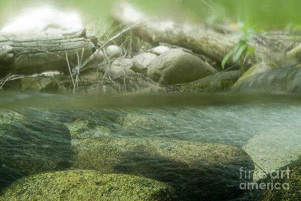 Wall Art - Photograph - Stream Cross Section by William H. Mullins