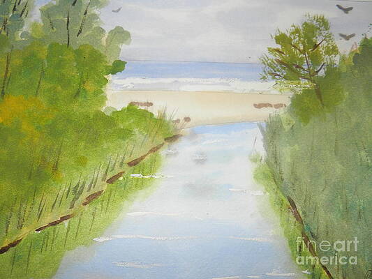Stream Running to the Ocean by Pamela  Meredith