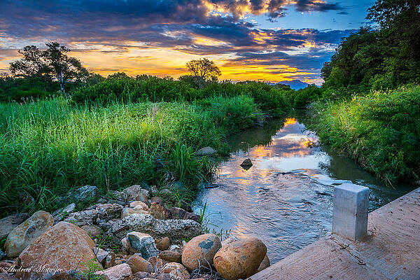 Wall Art - Photograph - Stream Sunset by Andrew Matwijec