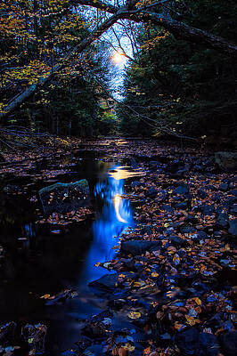 Wall Art - Photograph - Stream Under Autumn Full Moon by Jeff Sinon
