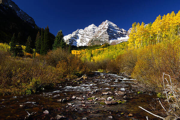 Wall Art - Photograph - Streaming Bells by Jeremy Rhoades