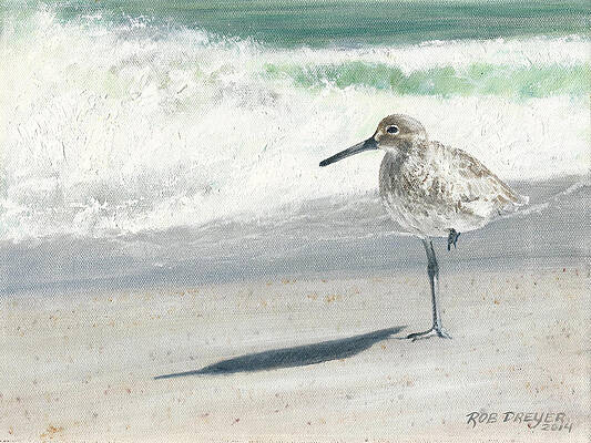 Seaside Bird on Sandy Beach Print