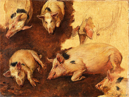 Study of six Pigs Print by Anders Askevold