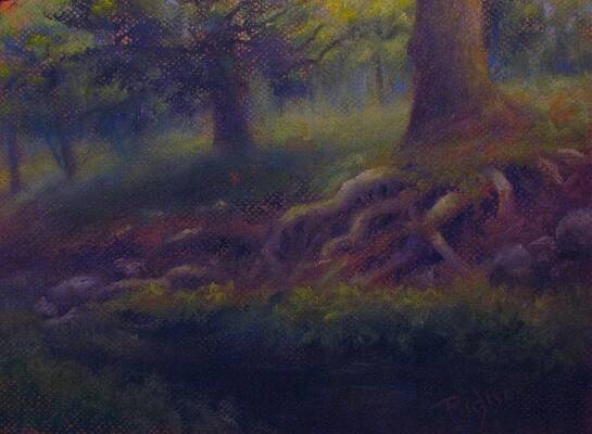 Study of Sycamore Roots by Bill Puglisi Study of Sycamore Roots by Bill Puglisi