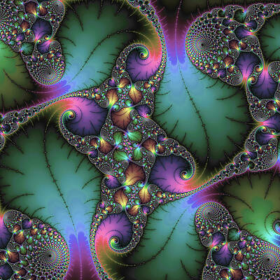 Wall Art - Digital Art - Stunning mandelbrot fractal by Matthias Hauser