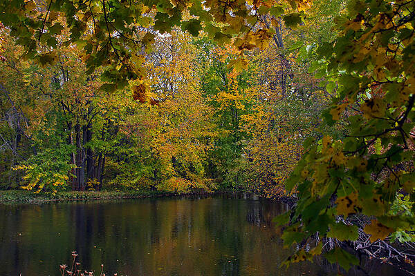 Subtile Art for Sale - Fine Art America
