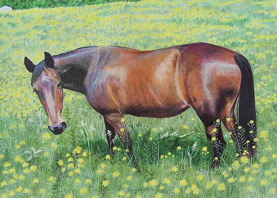 Summer field by CONSTANCE DRESCHER Summer field by CONSTANCE DRESCHER