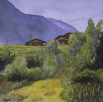 Summer Fields at Kais by Mayank M M Reid Summer Fields at Kais by Mayank M M Reid