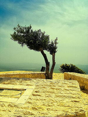 Summit of Mount Precipice by Sandra Pena de Ortiz Summit of Mount Precipice by Sandra Pena de Ortiz