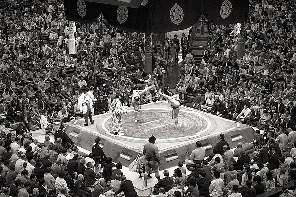 Sumo Summer Tournament 2014 Tokyo by For Ninety One Days