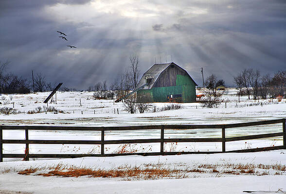 Sun Rays by David Simons