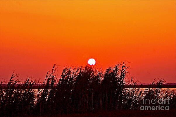 Sun rise on Mobile Bay by Michael Mathews