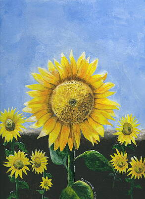 Sunflower Series One by Thomas J Herring Sunflower Series One by Thomas J Herring