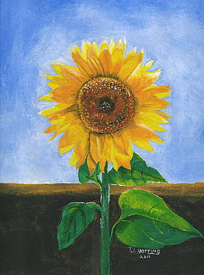 Sunflower Series Two by Thomas J Herring Sunflower Series Two by Thomas J Herring