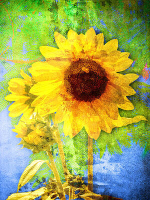 Sunflower with Bee Number Fourteen by Bob Coates Sunflower with Bee Number Fourteen by Bob Coates