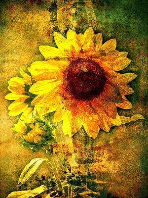 Sunflower with Bee Number Ten by Bob Coates Sunflower with Bee Number Ten by Bob Coates