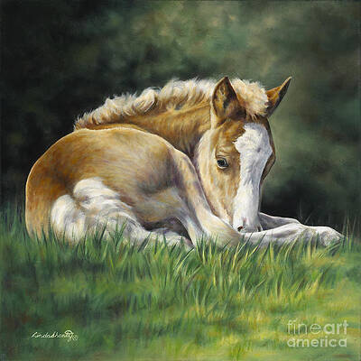 Sunkissed by Linda Shantz Sunkissed by Linda Shantz