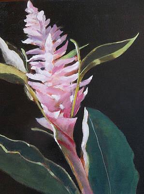 Sunlight Ginger Blosom by Walt Maes Sunlight Ginger Blosom by Walt Maes