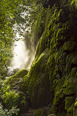 Wall Art - Photograph - Gorman Falls Ray Of Light by Jonathan Davison