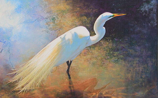 Sunlit Egret by Connie Kerwick-Kearns
