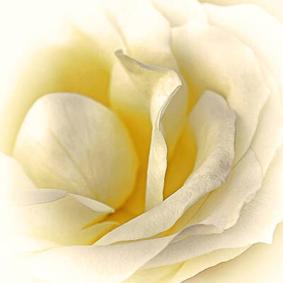 Wall Art - Photograph - Over Easy by Darlene Kwiatkowski