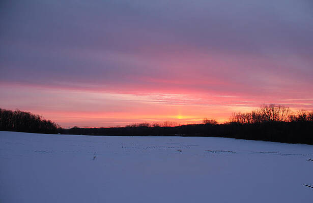 Sunrise at Hawthorne by Kristine Plum Sunrise at Hawthorne by Kristine Plum
